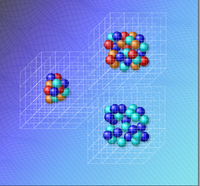 Different shapes of the nuclei on the grid.