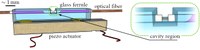 schematic_monolithic_fiber_cavity.jpg