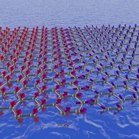 Tunneling Spectroscopy of Quantum Materials