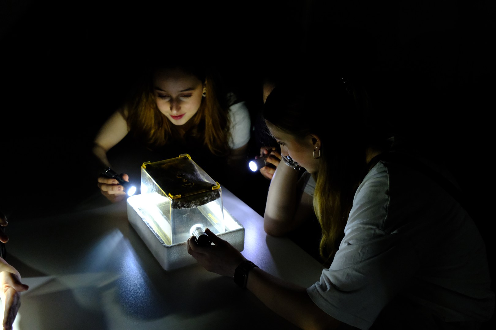 Particpants of the cloud chamber workshop search for traces of particles