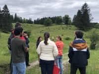 Joint hike across the alpine meadow as a social activity